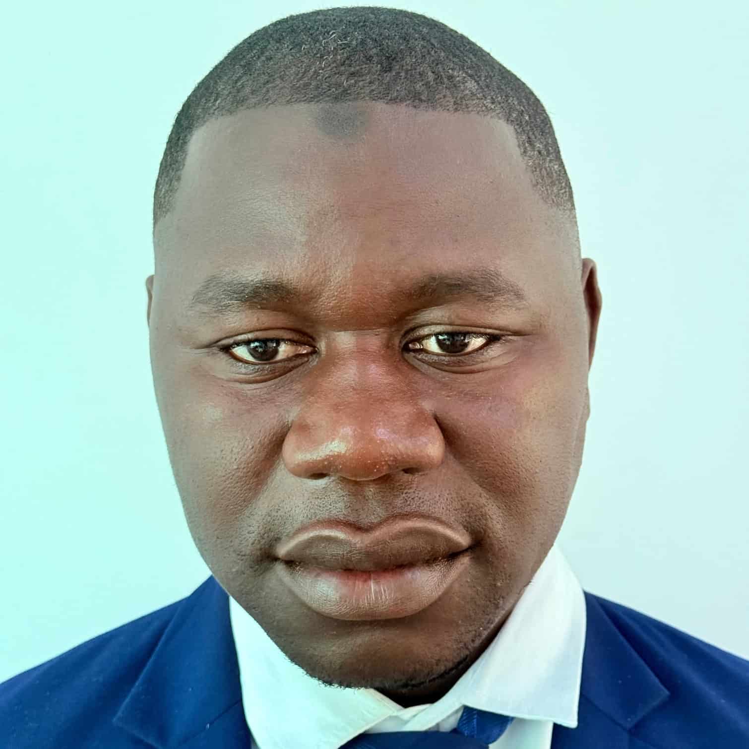 Edrissa Y. Bojang - 01 A stylized graphic of a green tree with four horizontal layers of leaves and a brown trunk, resembling a palm tree. The trunk is centrally aligned, and there is a green crescent shape at the bottom. A small green crescent sits at the top of the tree.