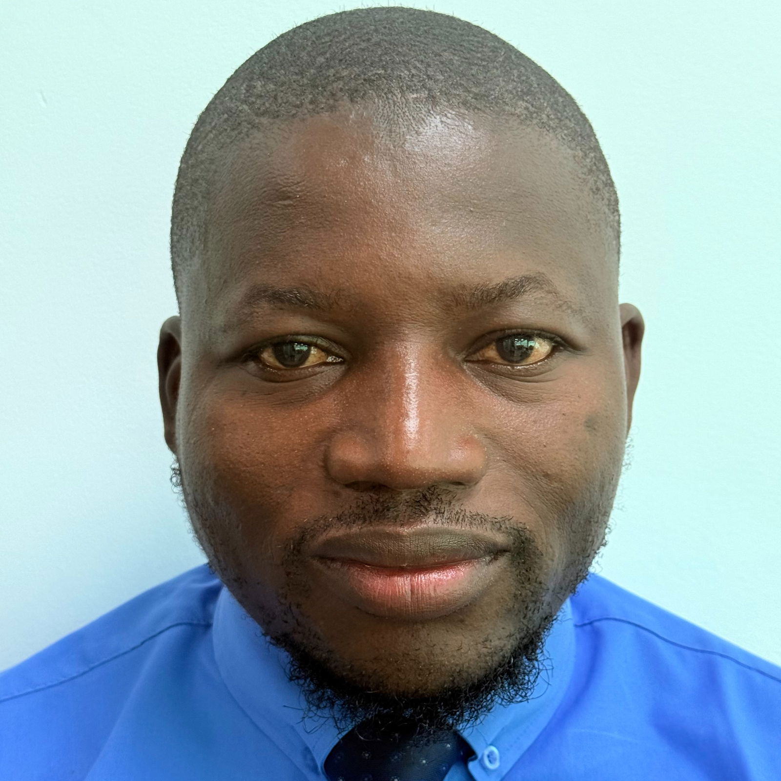 Sankung Darboe - 01 A stylized graphic of a green tree with four horizontal layers of leaves and a brown trunk, resembling a palm tree. The trunk is centrally aligned, and there is a green crescent shape at the bottom. A small green crescent sits at the top of the tree.